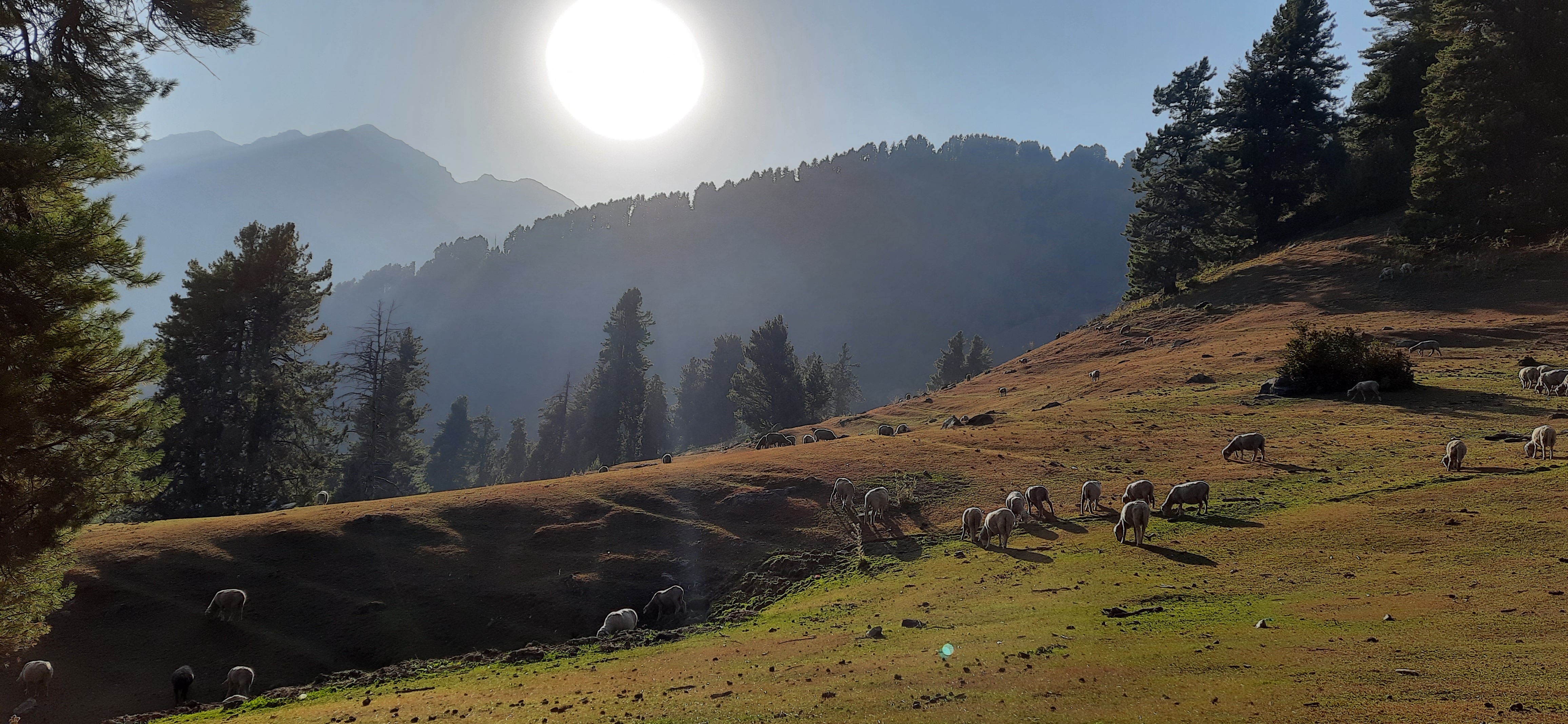 Aru Valley Chill Stay 
